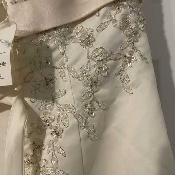 David’s Bridal Wedding Dress Ivory/Champagne Size 8 - Picture 10 of 14